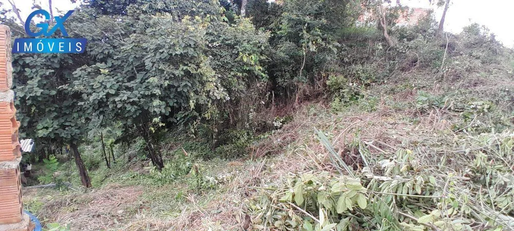 Terreno, 550 m² - Foto 2