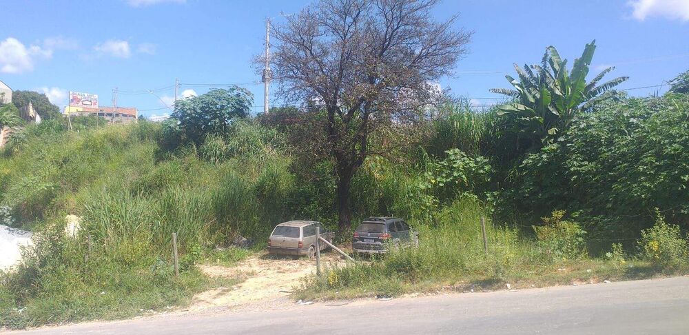 Terreno, 530 m² - Foto 4