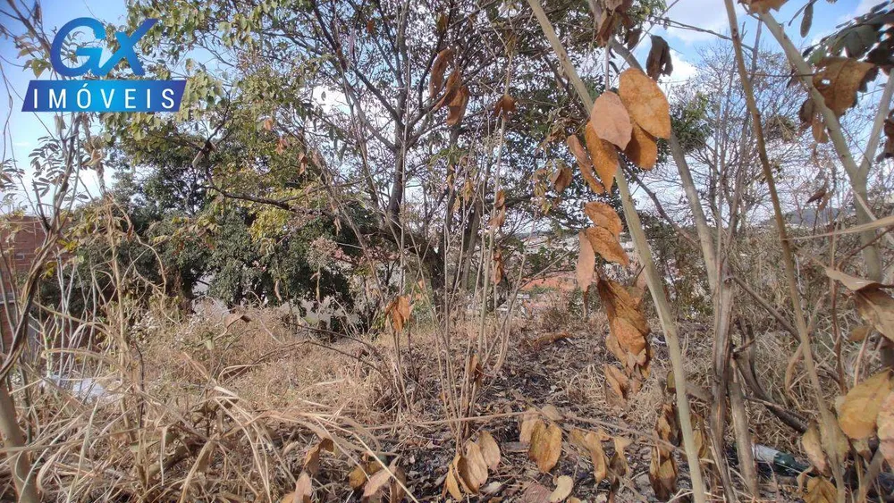 Terreno, 500 m² - Foto 8
