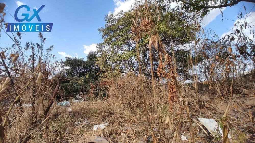 Terreno, 500 m² - Foto 7