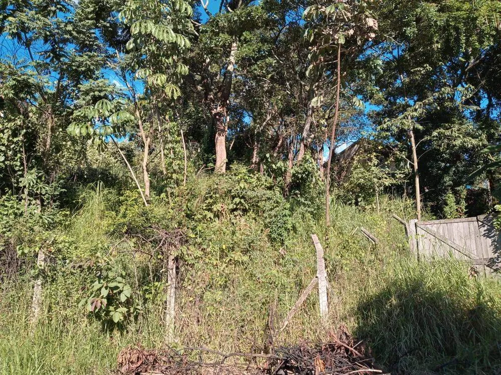 Terreno, 1200 m² - Foto 6