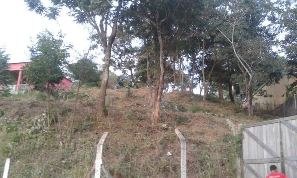 Terreno, 1200 m² - Foto 12
