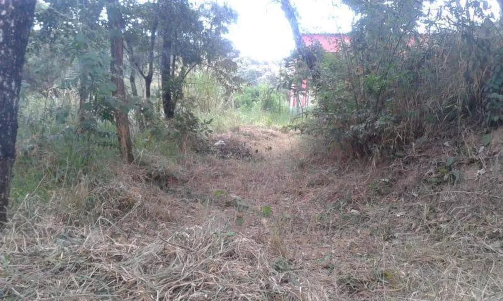 Terreno, 1200 m² - Foto 8