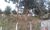Terreno, 1200 m² - Foto 1