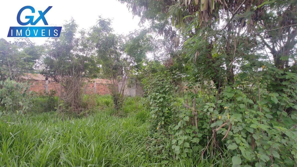 Terreno, 1000 m² - Foto 6