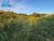 Terreno, 360 m² - Foto 2