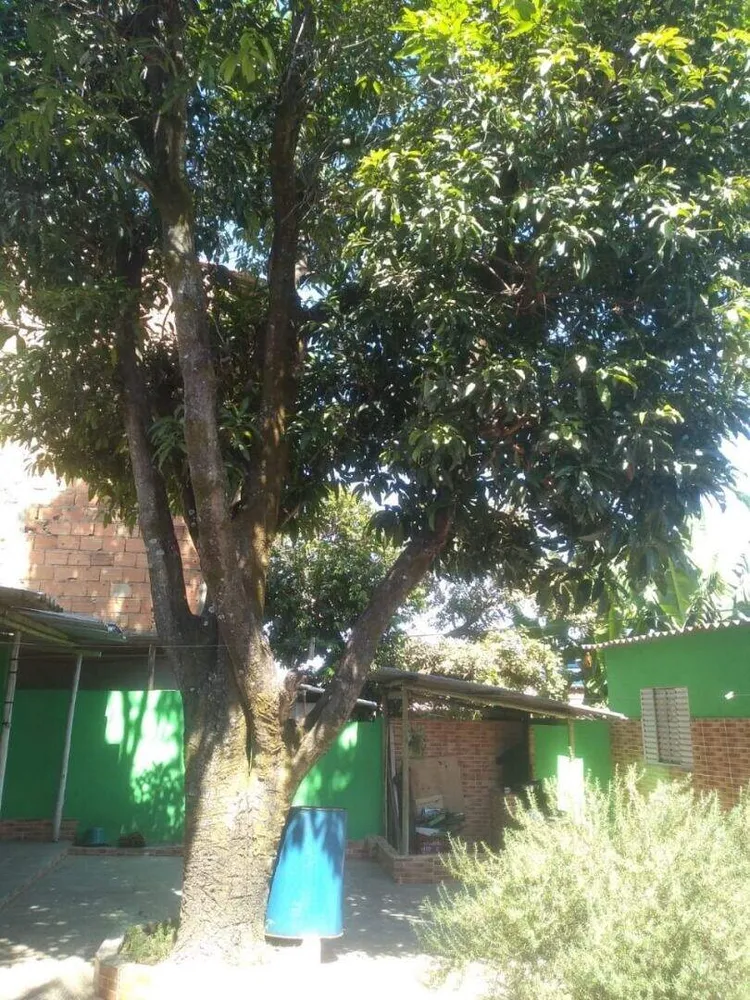 Casa, 5 quartos, 360 m² - Foto 14