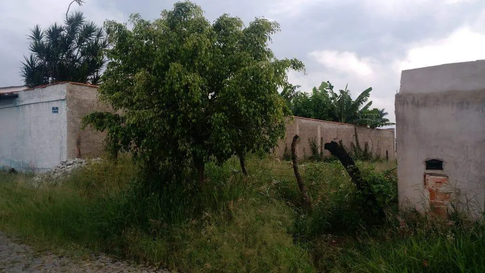 Terreno, 250 m² - Foto 4