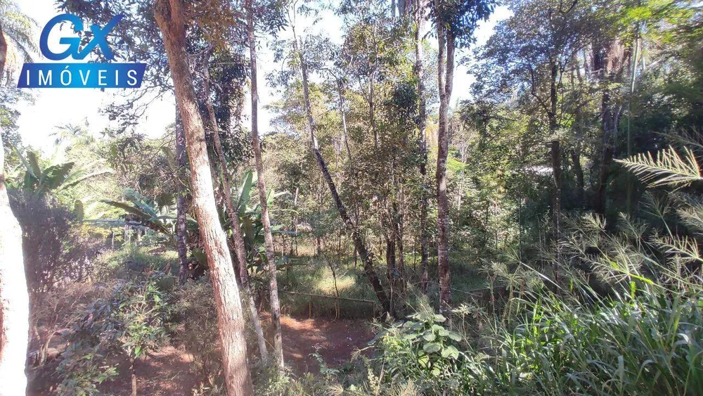 Sítio, 5650 m² - Foto 9