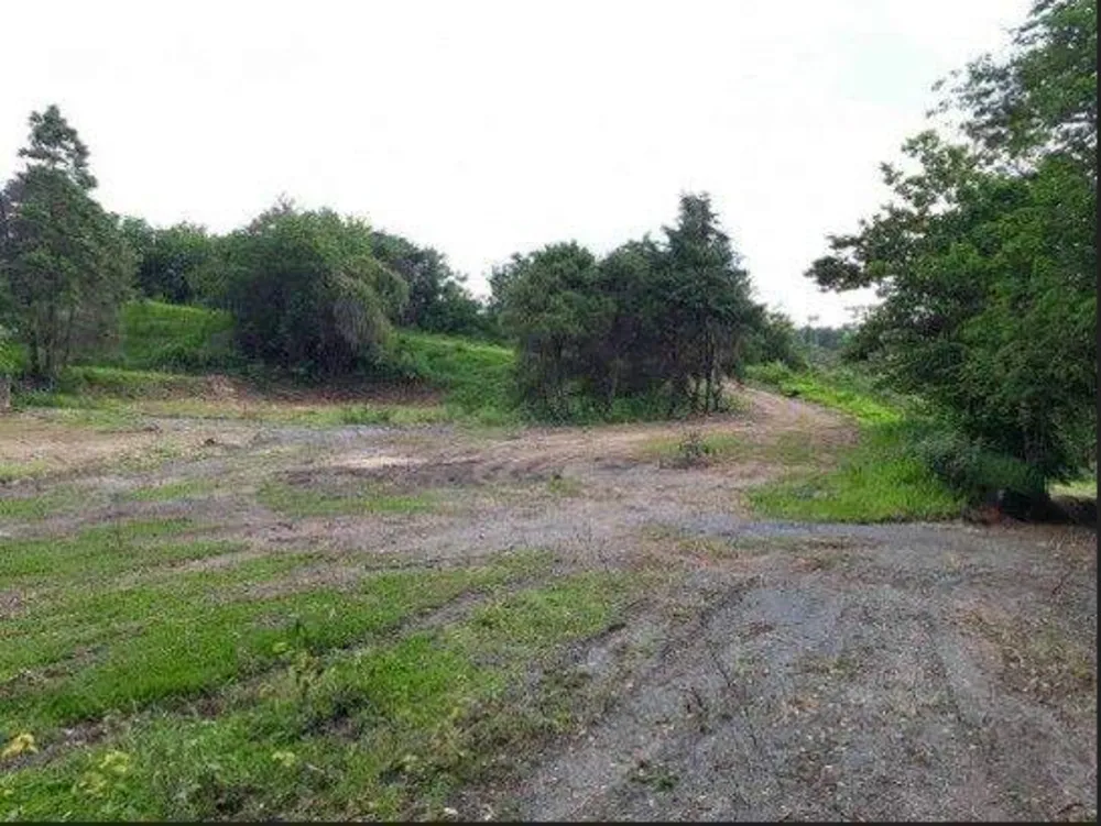 Terreno, 2 hectares - Foto 5