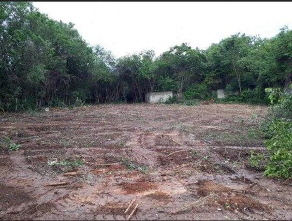 Terreno, 2 hectares - Foto 7