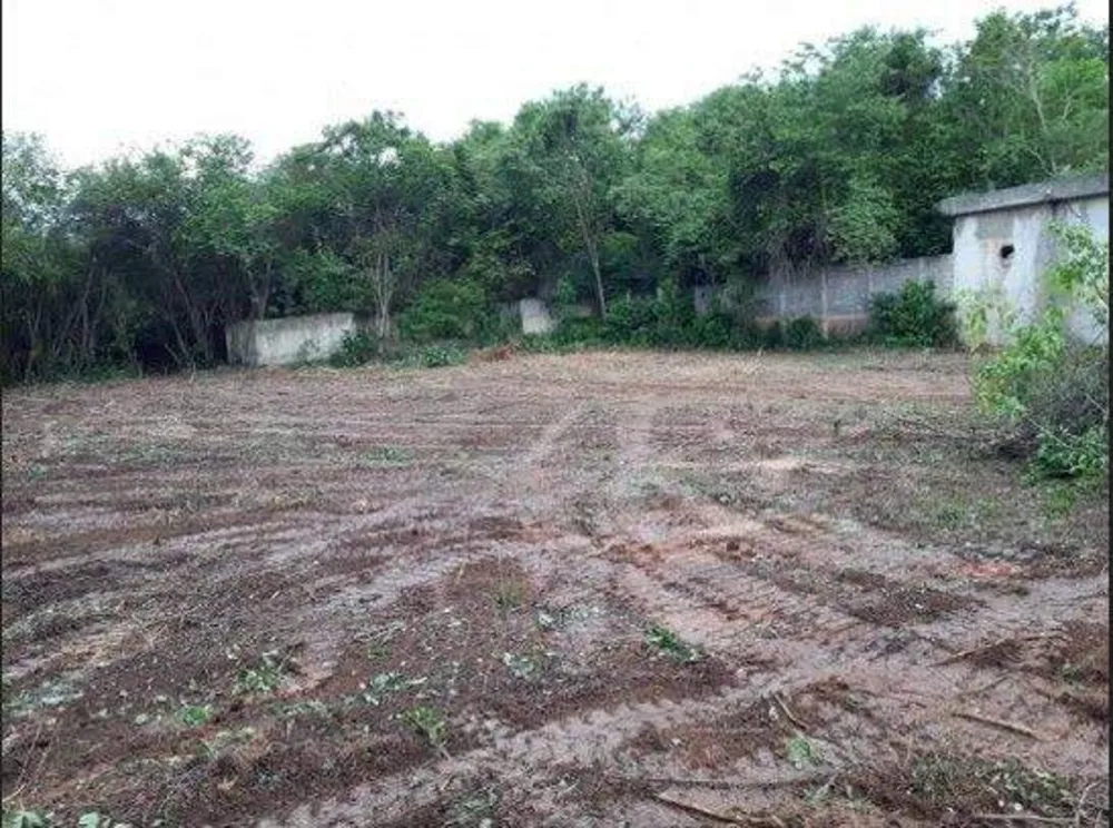 Terreno, 2 hectares - Foto 6