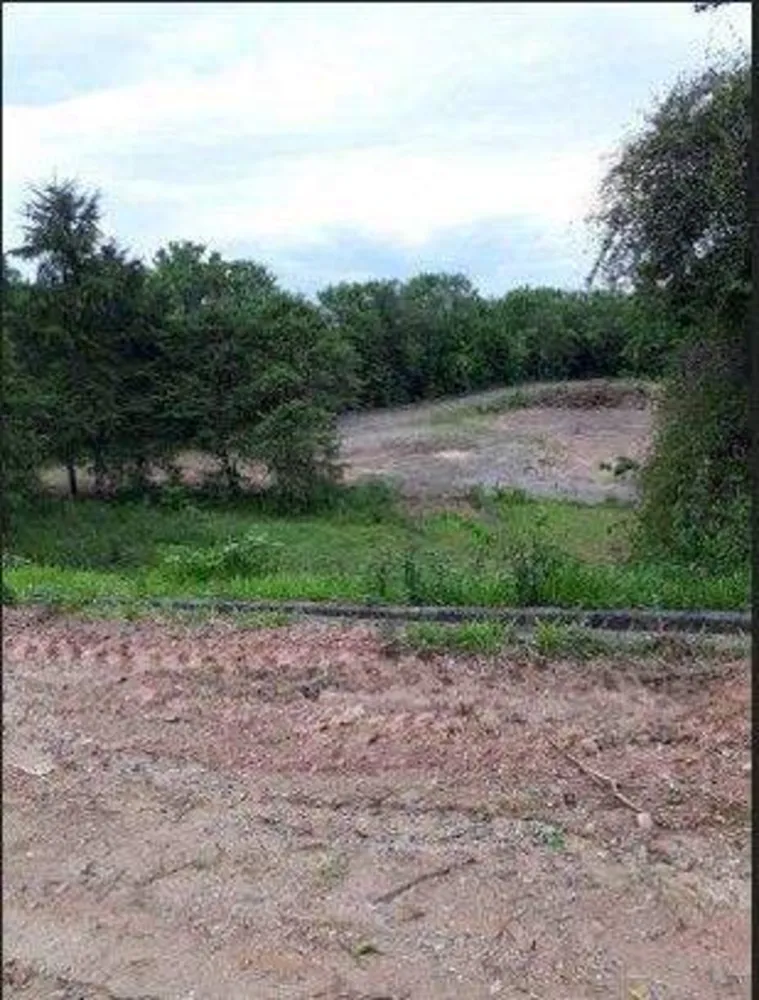 Terreno, 2 hectares - Foto 8