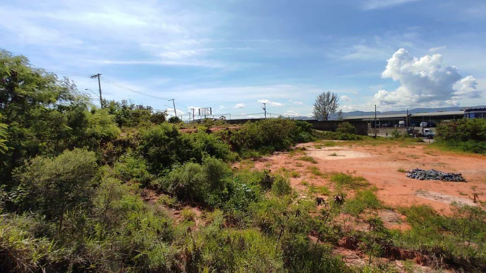 Terreno, 4878 m² - Foto 8