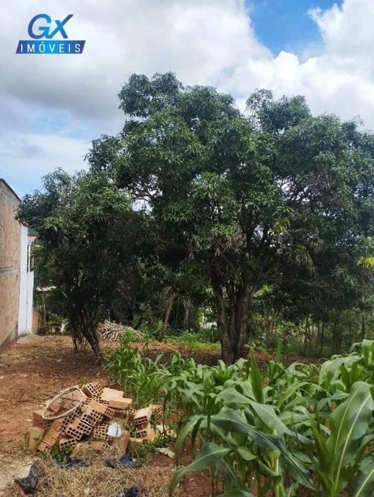 Terreno, 1250 m² - Foto 3