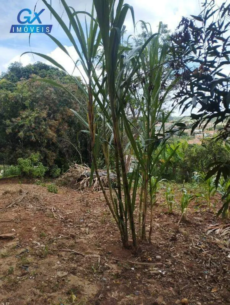 Terreno, 1250 m² - Foto 9
