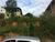 Terreno, 250 m² - Foto 1