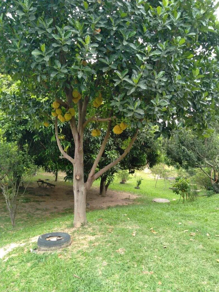 Chácara, 3 quartos, 2060 m² - Foto 2
