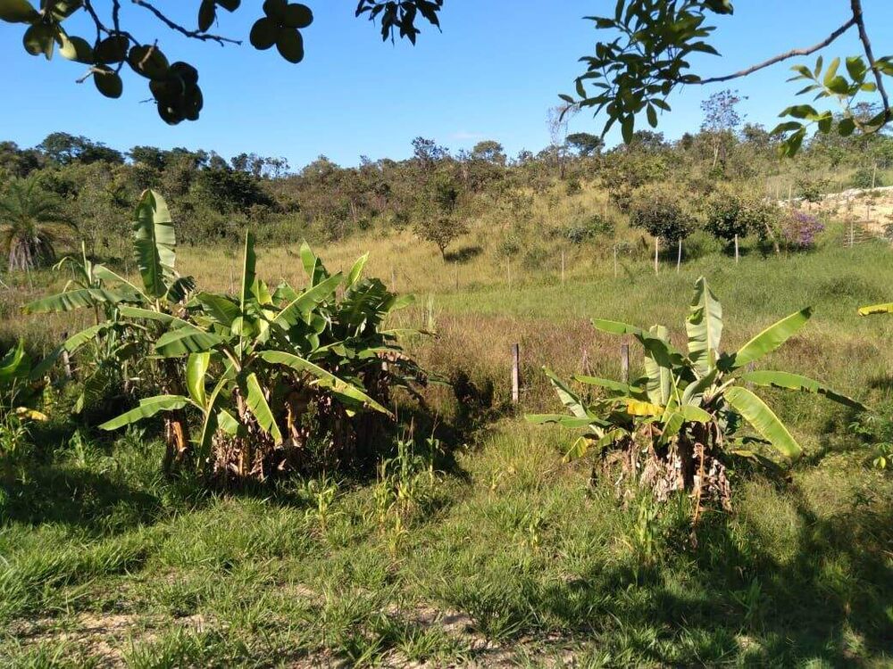 Chácara, 3 quartos, 2060 m² - Foto 1