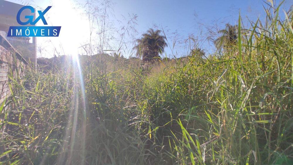 Terreno, 360 m² - Foto 2