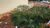Terreno, 360 m² - Foto 4
