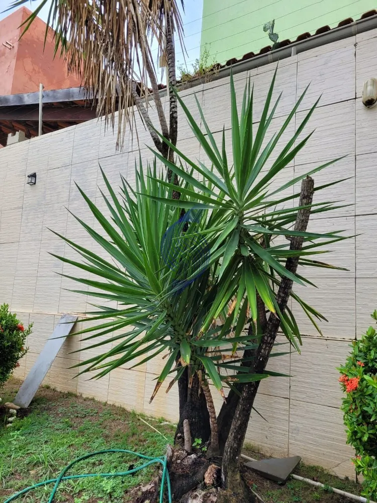 Casa, 4 quartos, 350 m² - Foto 3