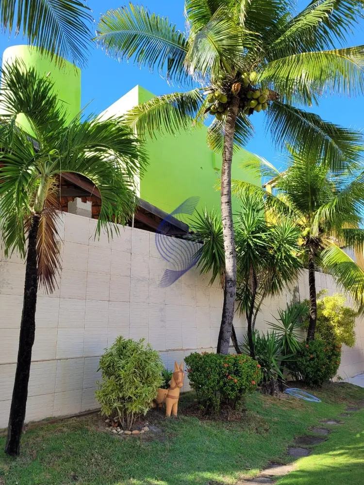 Casa, 4 quartos, 350 m² - Foto 7
