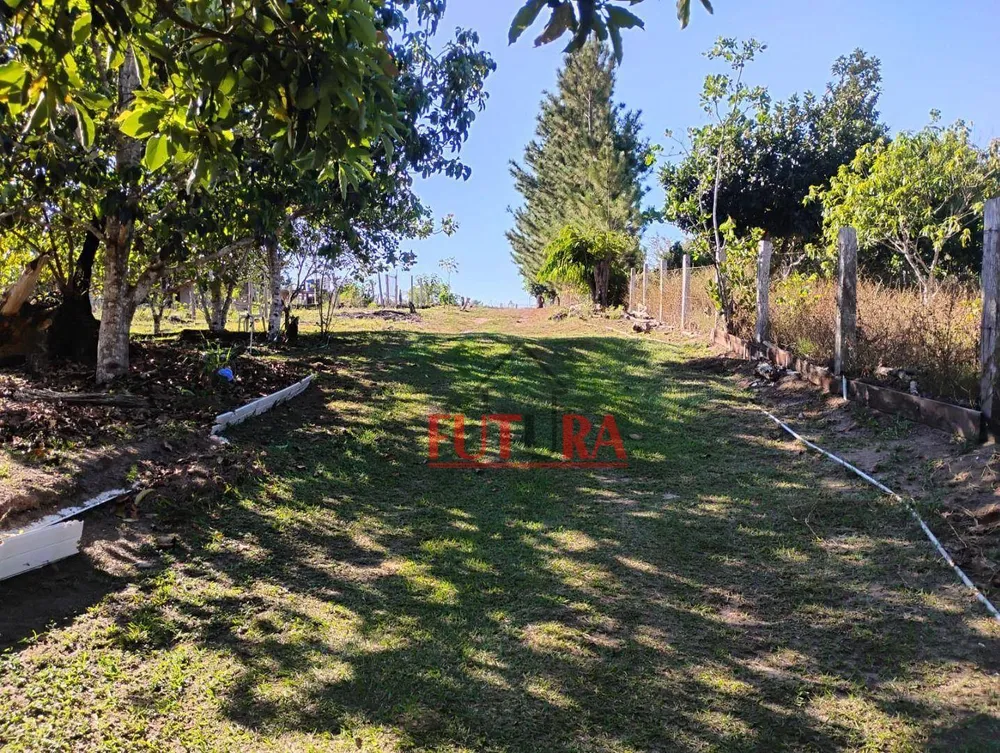 Chácara, 1500 hectares - Foto 4