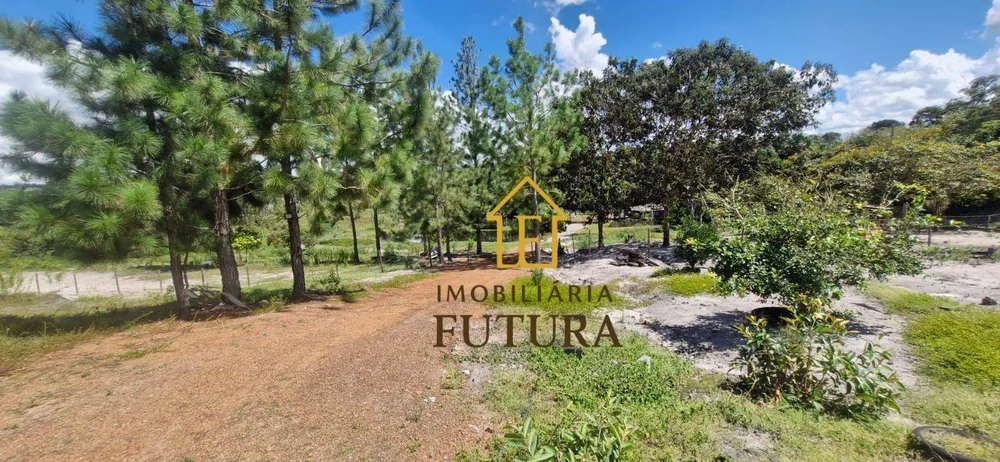 Chácara, 1 quarto, 3 hectares - Foto 15
