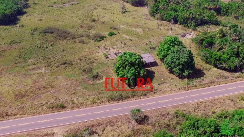 Fazenda, 160 hectares - Foto 7