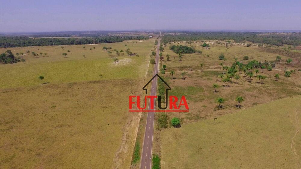 Fazenda, 160 hectares - Foto 4