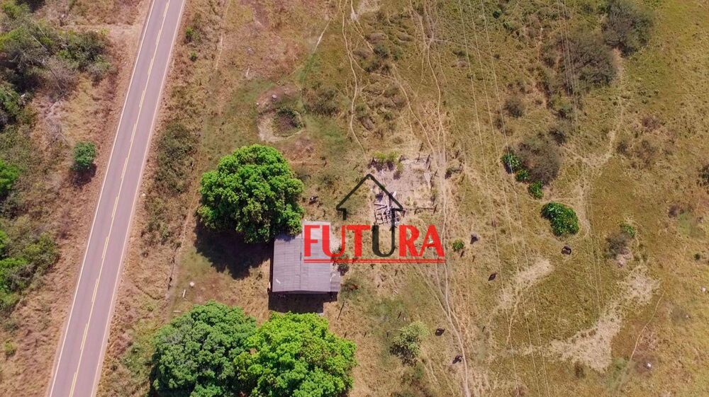 Fazenda, 160 hectares - Foto 6