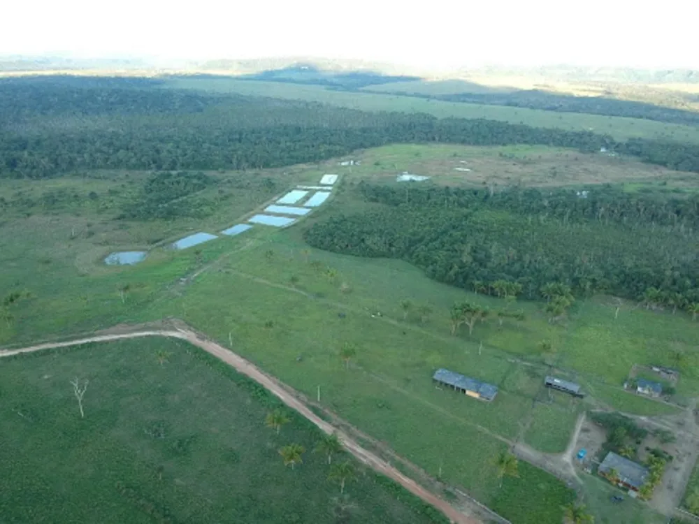 Sítio, 3 quartos, 114 hectares - Foto 7