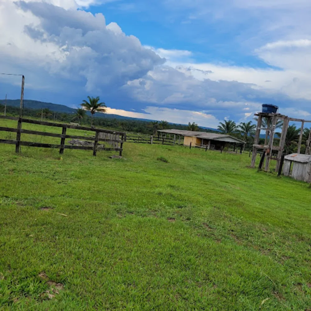 Sítio, 3 quartos, 114 hectares - Foto 10