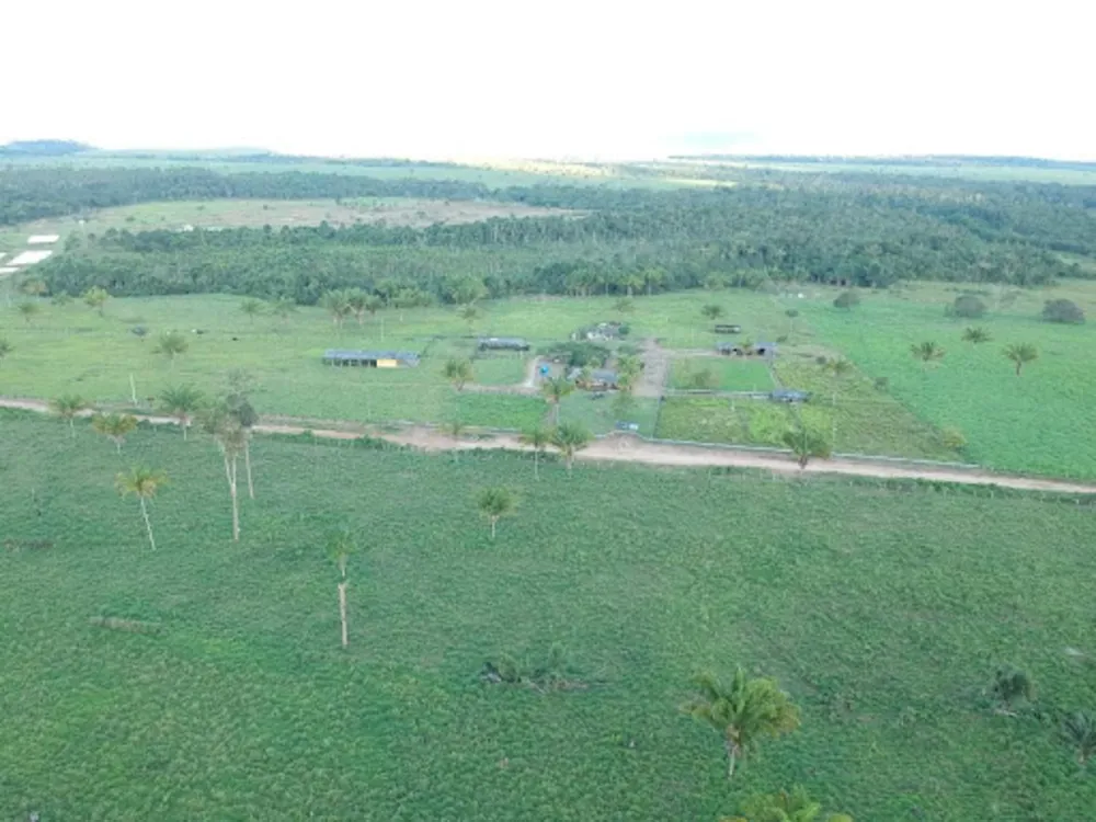 Sítio, 3 quartos, 114 hectares - Foto 1