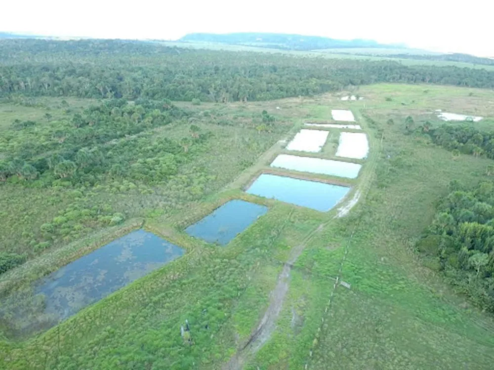 Sítio, 3 quartos, 114 hectares - Foto 4