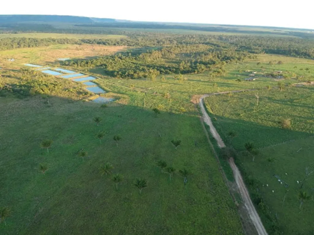 Sítio, 3 quartos, 114 hectares - Foto 12