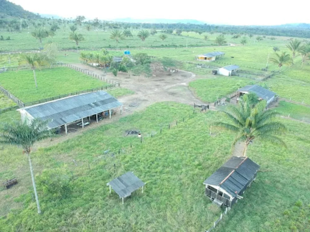 Sítio, 3 quartos, 114 hectares - Foto 3