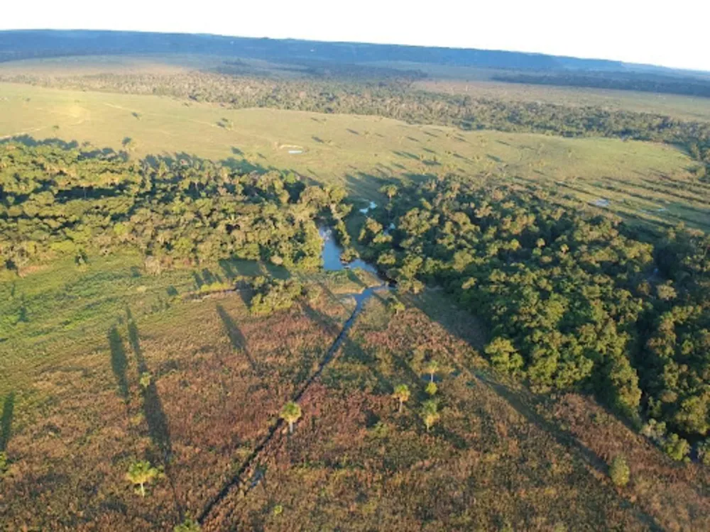Sítio, 3 quartos, 114 hectares - Foto 6