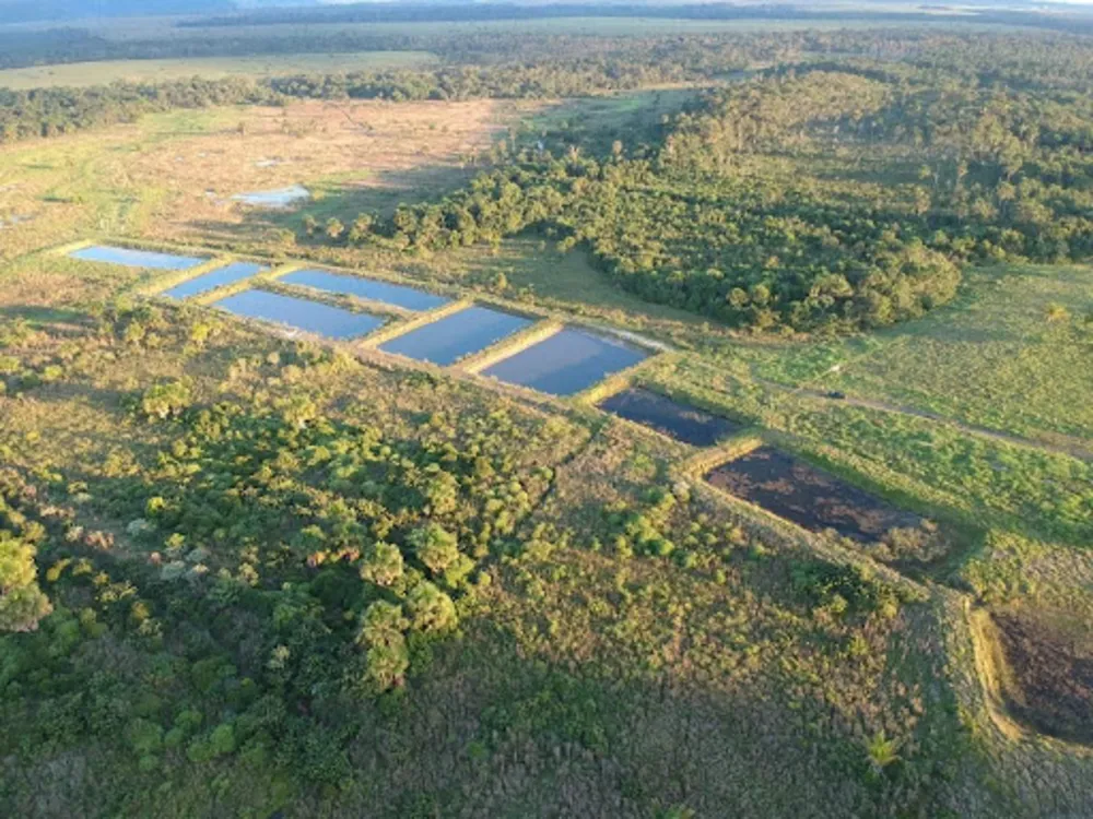 Sítio, 3 quartos, 114 hectares - Foto 13