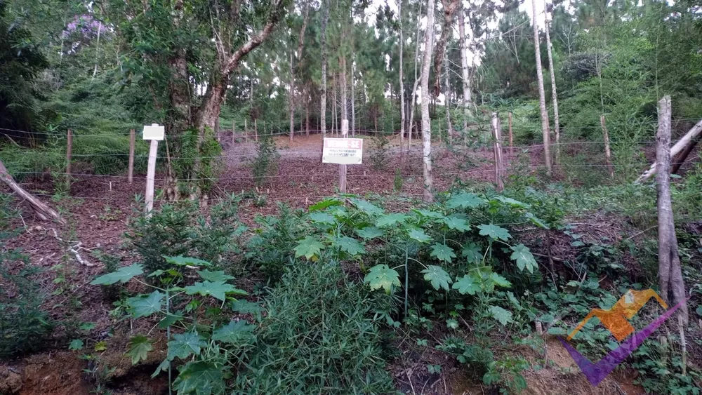 Terreno, 364 m² - Foto 3