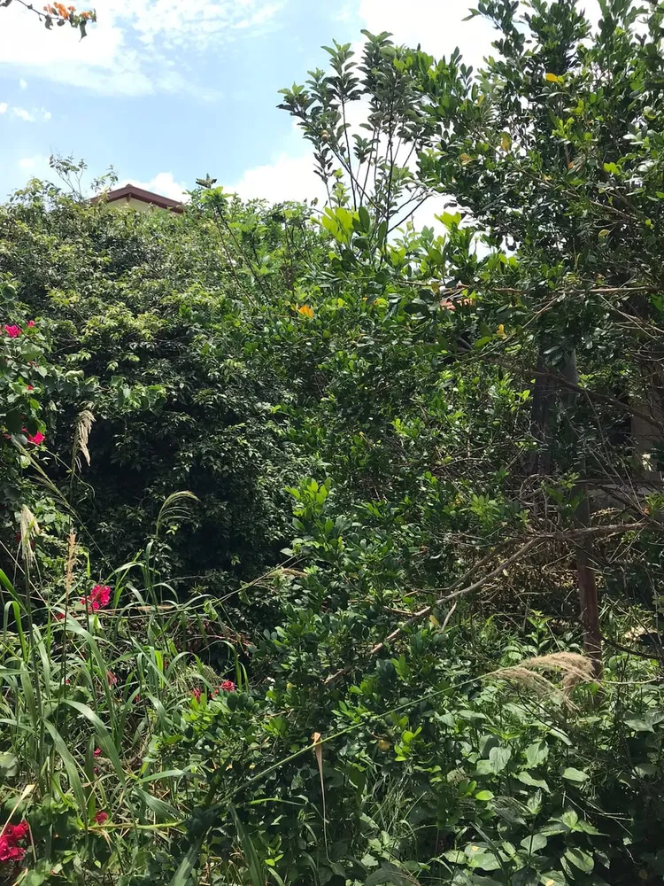 Casa, 2 quartos, 346 m² - Foto 10