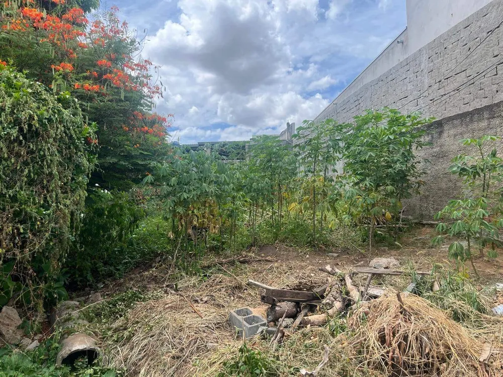 Terreno, 140 m² - Foto 3