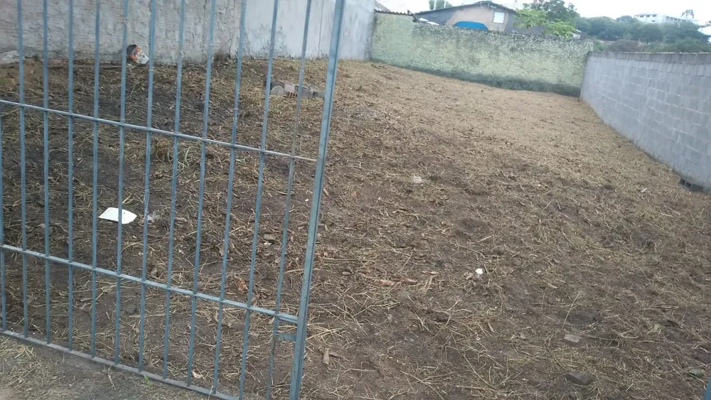Terreno, 250 m² - Foto 3