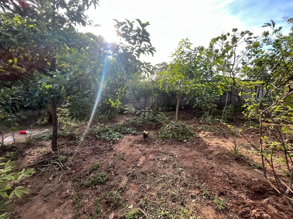 Chácara, 1 quarto, 700 m² - Foto 5