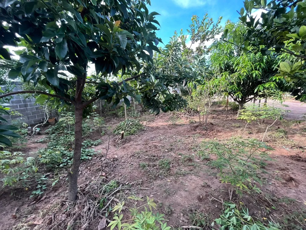 Chácara, 1 quarto, 700 m² - Foto 4