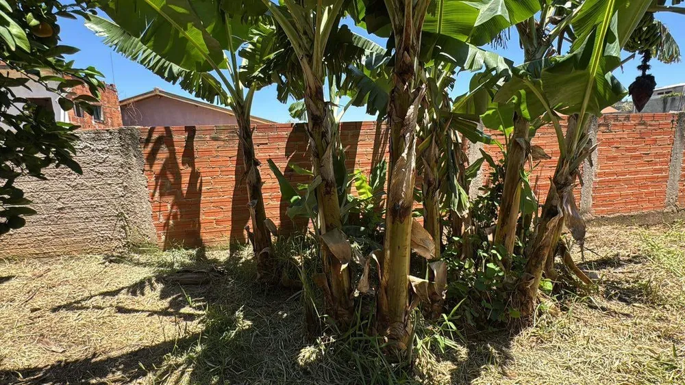 Casa, 3 quartos, 250 m² - Foto 10