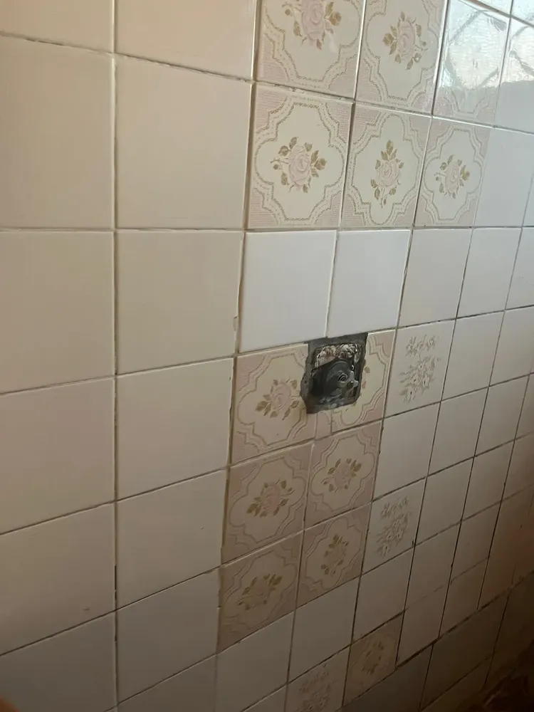 Casa, 1 quarto, 250 m² - Foto 8