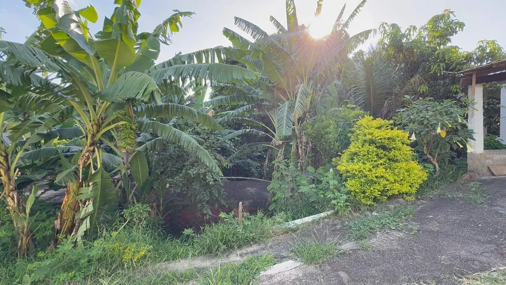 Casa, 3 quartos, 929 m² - Foto 8