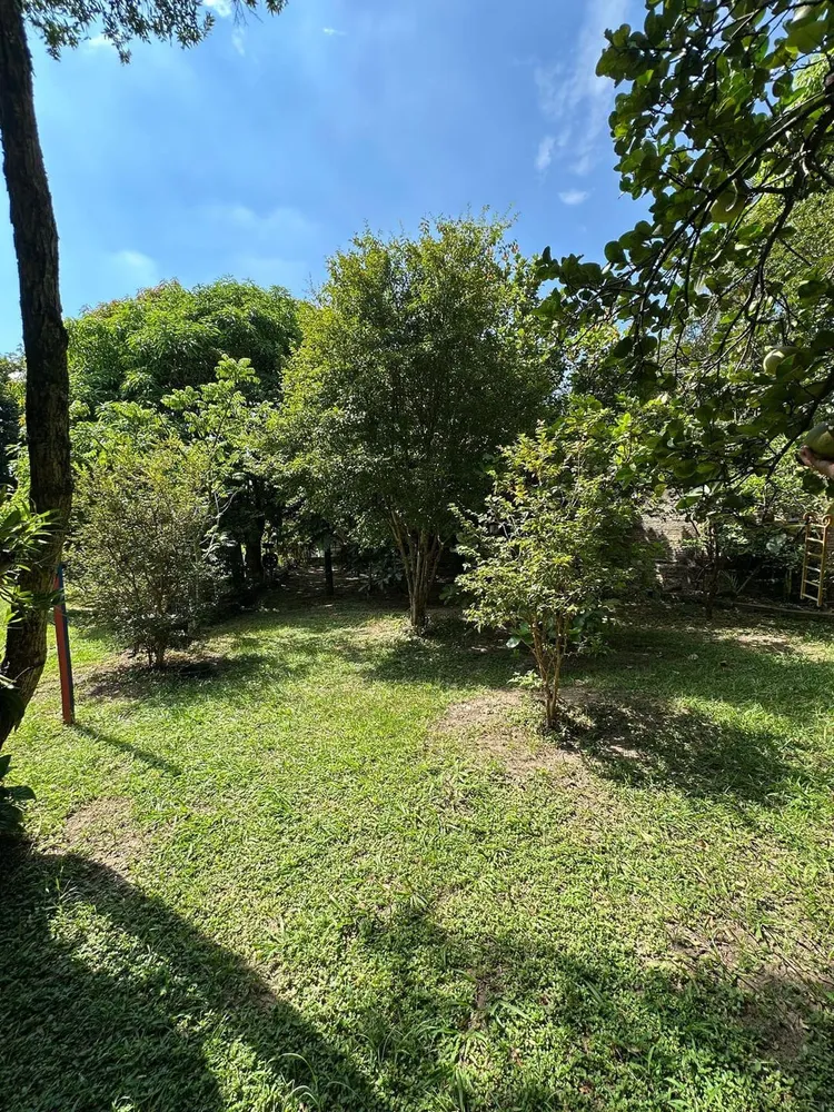 Chácara, 2 quartos, 1000 m² - Foto 4